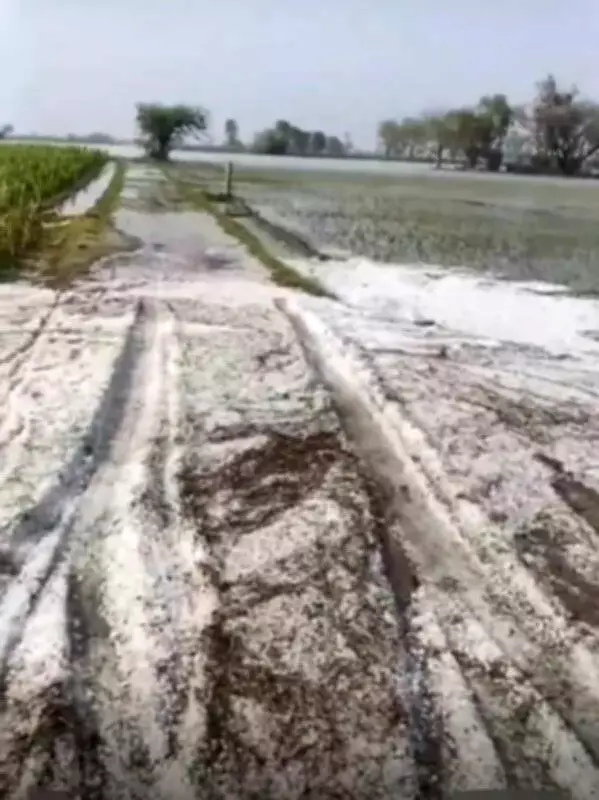 Severe Thunderstorms and Hailstorms Wreak Havoc in North India