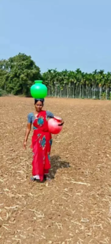 Severe water crisis in Davanagere forces residents to steal drinking water
