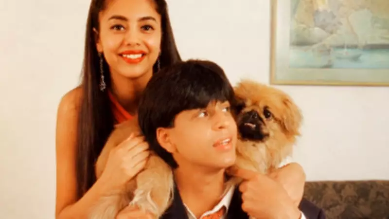 Shah Rukh Khan Dug Up His Pet Dog's Grave at 2 AM: Here's What Happened