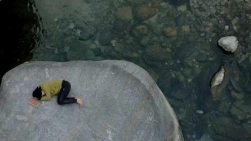 Shape of Momo Review: A Heartfelt Tale of Homecoming in Sikkim