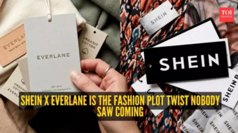 Shein Acquires Everlane: Fast Fashion King Buys Sustainable Brand