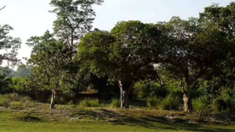 Shettihalli Sanctuary Row: CEC to Hold Talks with Forest Department
