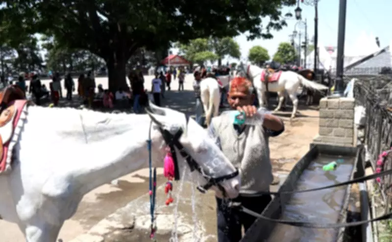 Shimla Breaches 30°C Mark, Heatwave Warning Issued for Today