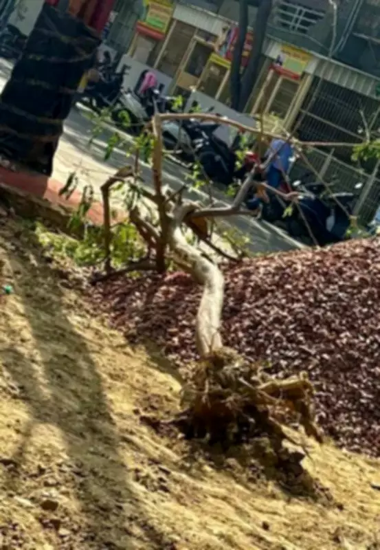 Shipra Sun City Residents Alarmed by Environmental Degradation and Safety Hazards
