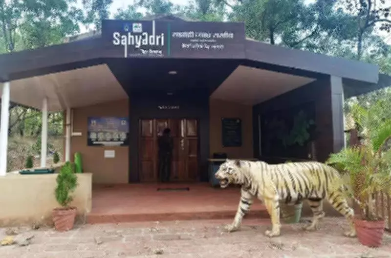 Shiv Sena (UBT) Opposes Sahyadri Tiger Reserve Corridor Plan