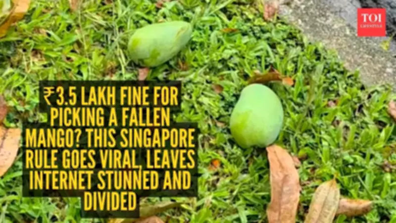 Singapore Fine for Picking Fallen Mango Sparks Viral Debate Online