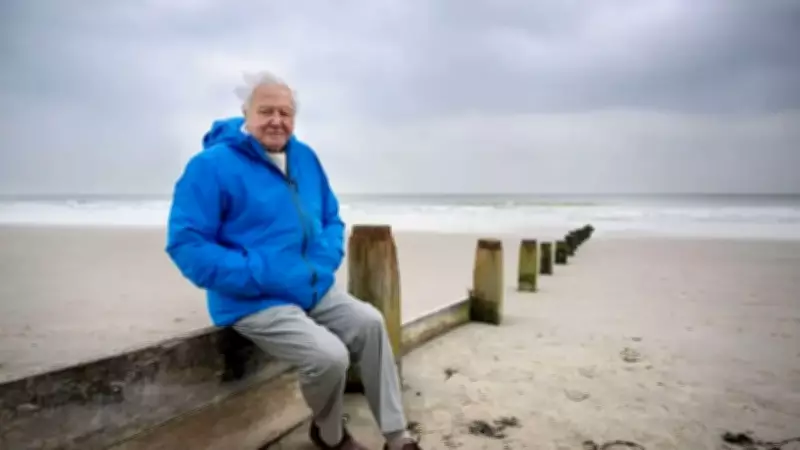 Sir David Attenborough at 100: Secrets of His Remarkable Longevity and Vitality