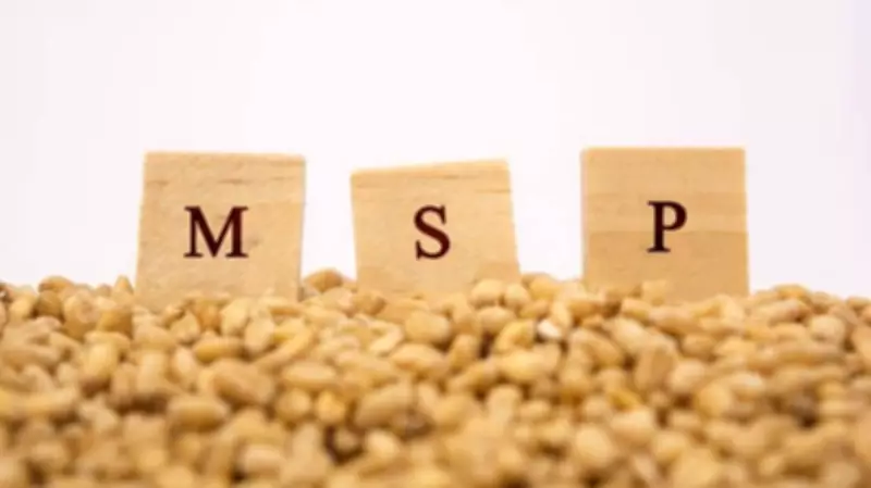 SKM Slams Centre's Kharif MSP as 'Betrayal', Calls for Nationwide Protests