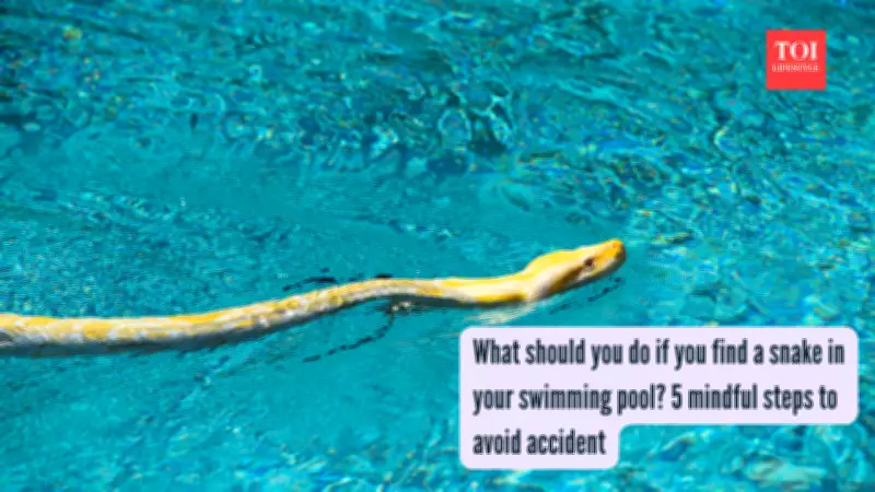 Snake in Pool? Stay Calm and Follow These 5 Safe Steps
