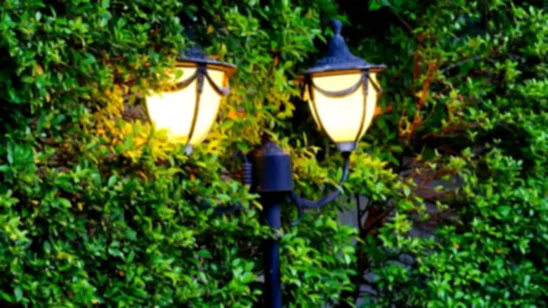 Snake-Proof Your Home and Garden: Effective Tips for Safety