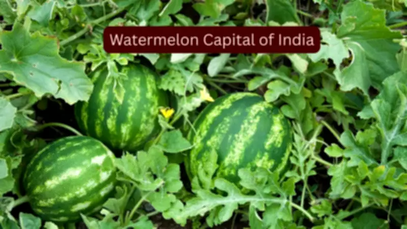 Solapur: India's Watermelon Capital You Must Visit This Summer