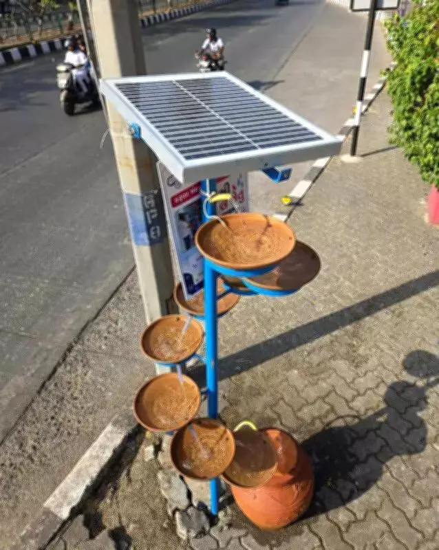 Solar-Powered Water Tower Helps Birds Survive Scorching Summer in Surat
