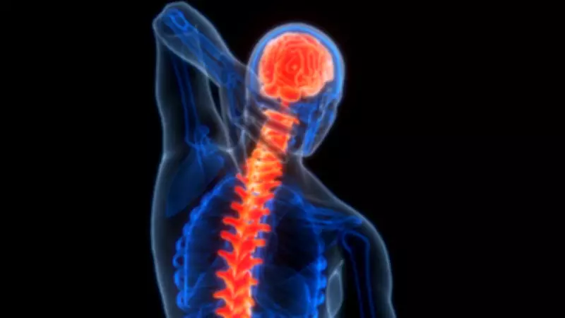 Spinal Cord Injury Delayed Treatment Overcomes Paralysis Through Surgery and Rehab