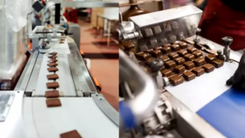 Spring & Mulberry Expands Recall to All 12 Chocolate Flavors Over Salmonella Fears
