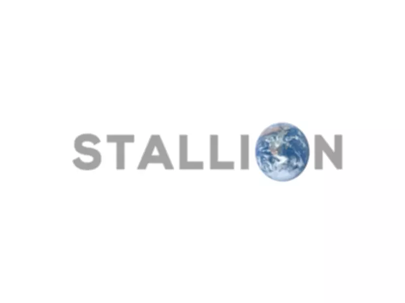 Stallion India Fluorochemicals FY26 PAT Up 35.61% YoY