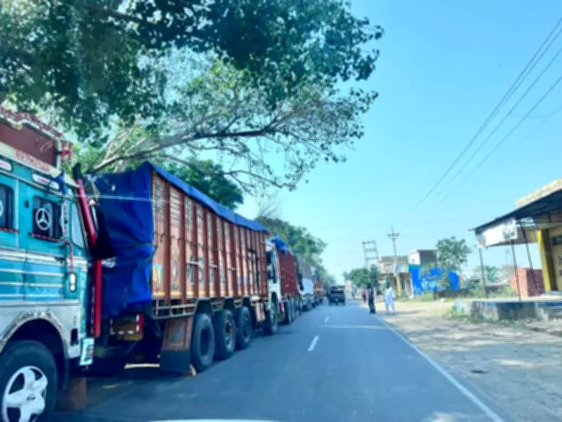 Stranded Wheat Trucks Cause Traffic Chaos on Chheharta-Dhand Road