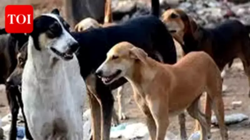 Stray Dog Attacks 65 People in Shivpuri, Including Children, Before Capture