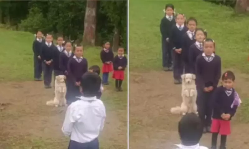 Stray Dog Joins School Assembly in Sikkim, Calmly Stands with Students