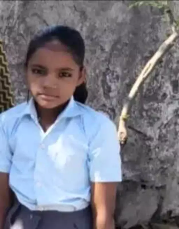 Stray Dogs Maul 9-Year-Old Girl to Death in Rajasthan's Bundi District