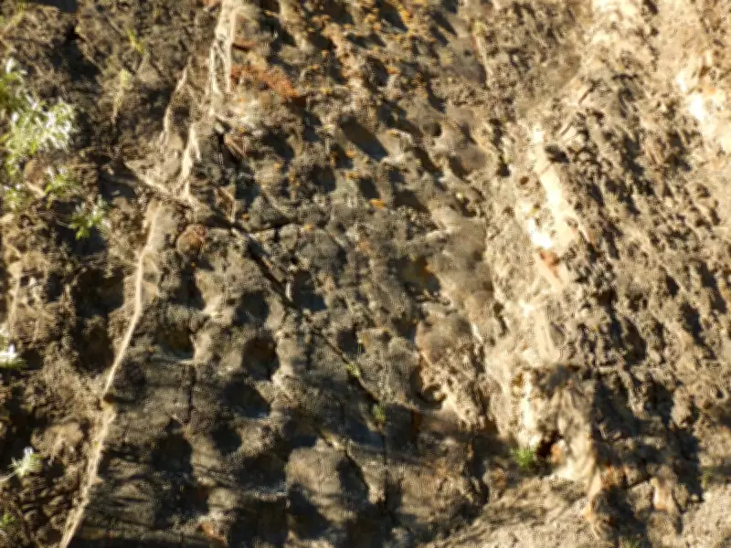 Sunset Reveals Largest Dinosaur Track Site in Alaska's Denali
