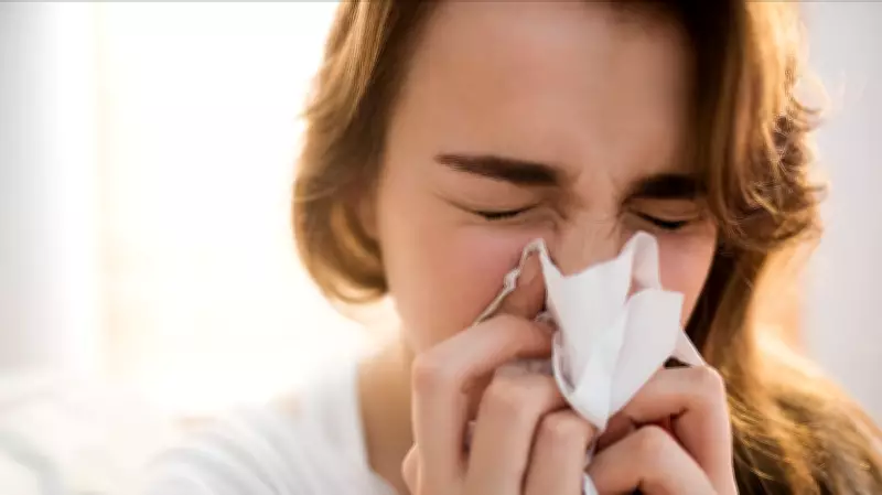 Suppressing Sneeze Can Cause Brain Leak, Rare Case Shows