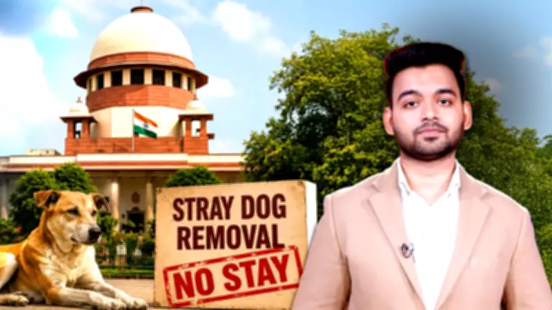 Supreme Court Refuses Stay on Stray Dog Removal, Orders ABC Rule Compliance
