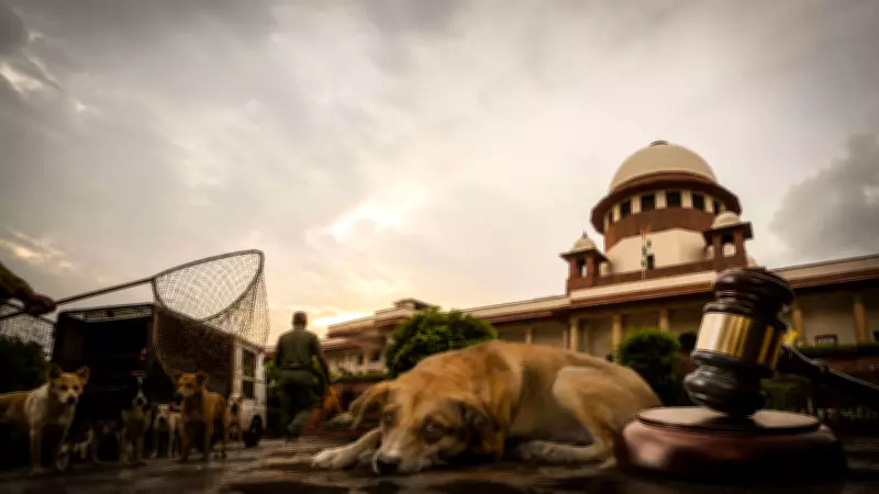Supreme Court Refuses to Clarify Rabid Dogs Euthanasia Order