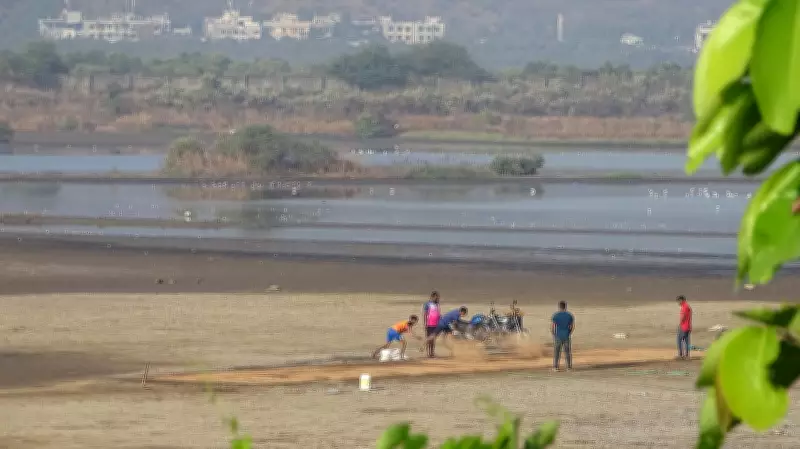 Supreme Court Seeks Centre's Reply on Wetland Definition Plea