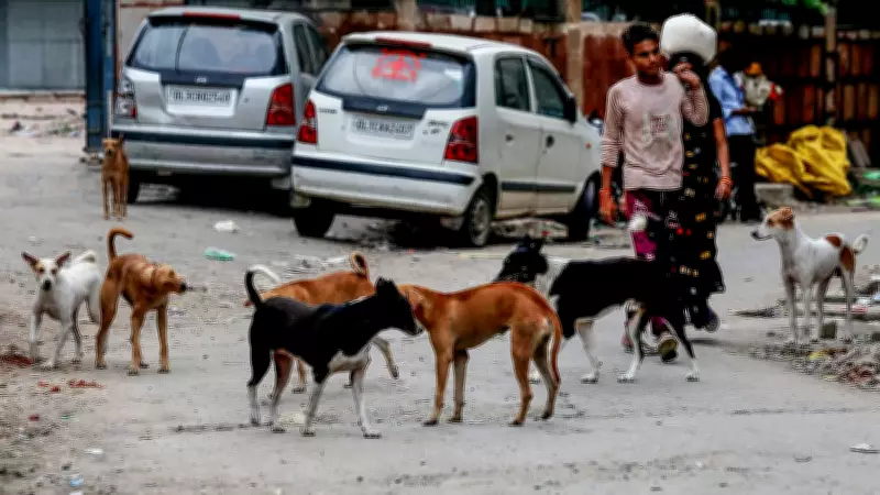 Supreme Court Warns Unchecked Dog Bites Threaten Public Safety, Governance