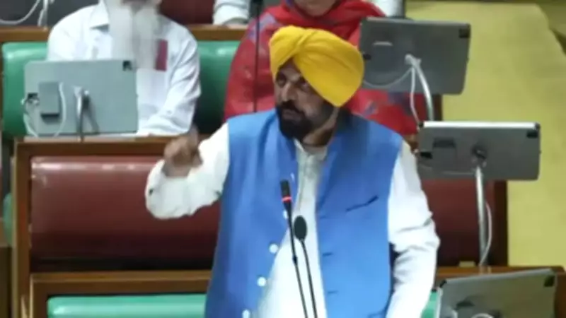 Swati Maliwal Accuses Punjab CM Bhagwant Mann of Being Drunk in Assembly
