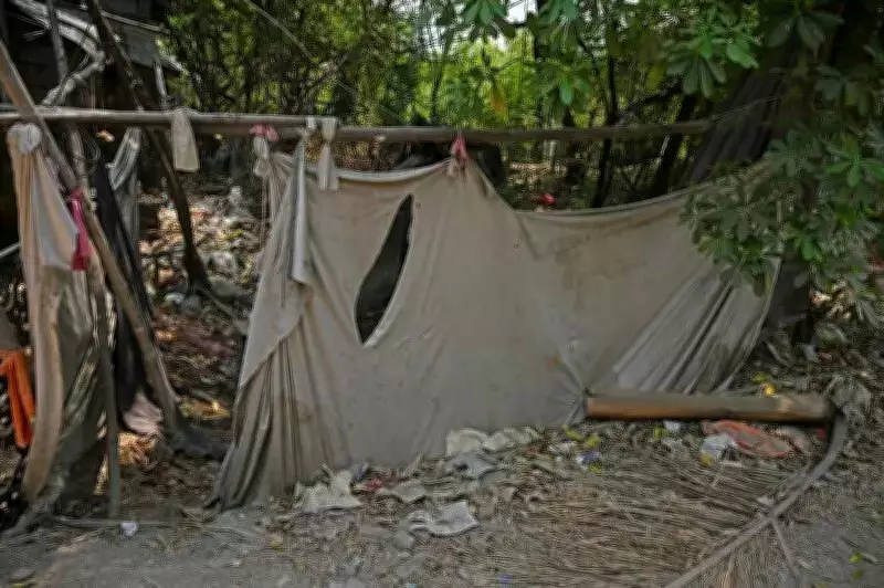 Systematic Violations on PDKV Land in Nagpur Exposed After HC Concern