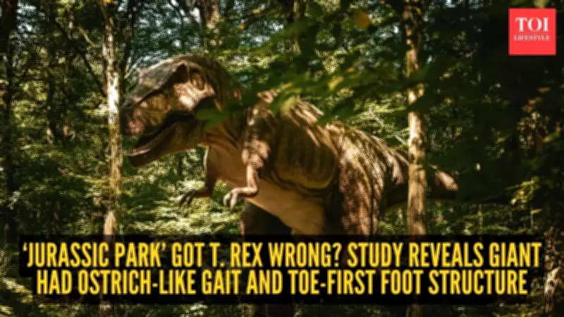 T. rex Walked Like a Bird, Not a Reptile, New Study Suggests