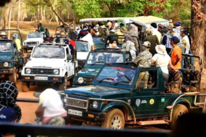 Tadoba Tiger Reserve Plans Shift to Electric Tourist Vehicles