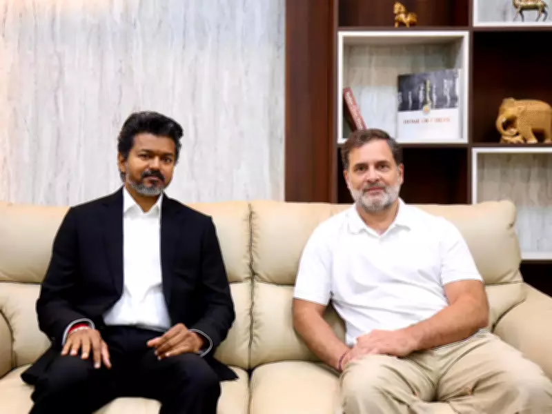 Tamil Nadu CM Vijay Consults Experts on Mekedatu Dam Amid Congress-Ties Strain
