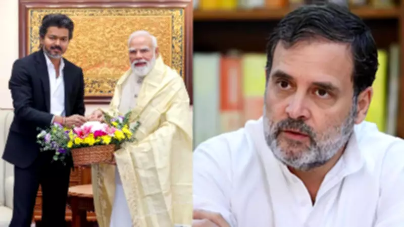 Tamil Nadu CM Vijay Postpones Delhi Meeting with Rahul Gandhi After PM Modi Meet