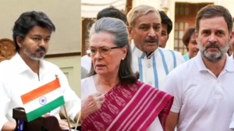 Tamil Nadu CM Vijay to meet Sonia Gandhi, Rahul on June 11: Congress MP