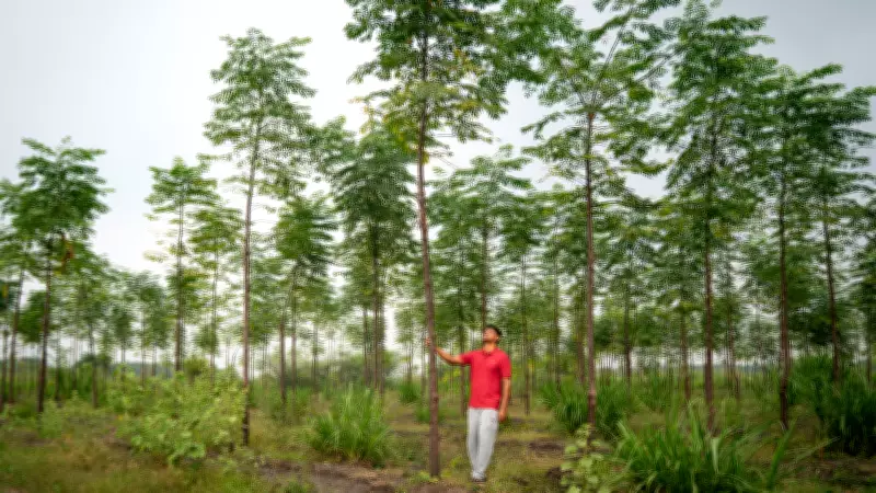 Tamil Nadu farmer transforms loss-making farm into UN FAO Soil Hero success