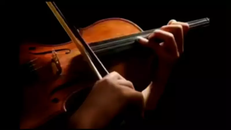 Tamil Nadu Govt Music College Coimbatore Invites Applications for Music and Dance Courses