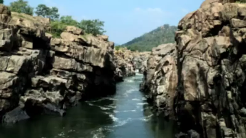 Tamil Nadu moves NGT against Karnataka's Mekedatu dam project