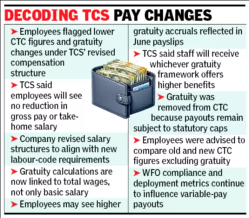 TCS Clarifies No Salary Cuts, Explains Gratuity Changes in Payslips