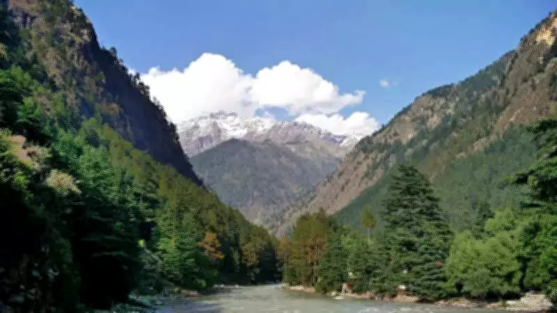 Tea grower Butail informs NGT of Kasol hydro project transfer to new firm