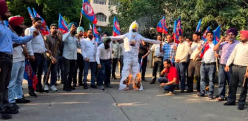 Teachers in Patiala Burn Punjab CM Bhagwant Mann's Effigy Over Non-Academic Duties
