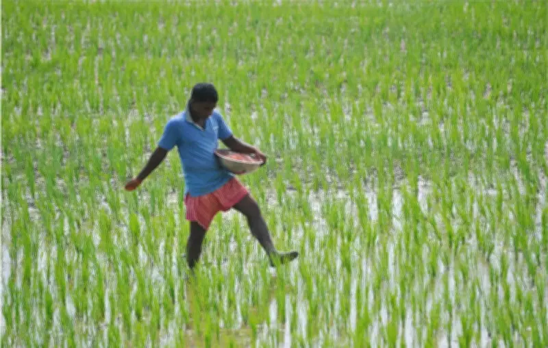 Telangana Poised to Benefit from Global Rice Export Opportunities
