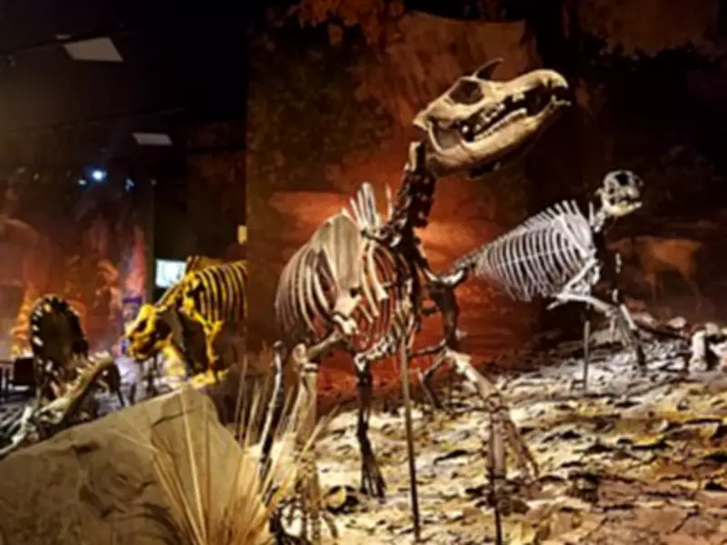 Tennessee Road Project Reveals 6.6-Million-Year-Old Fossil Site