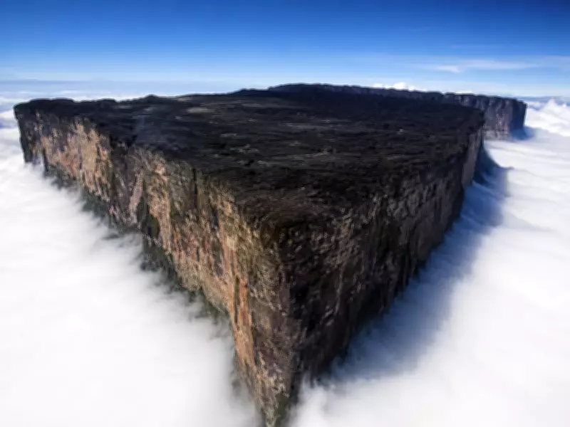 Tepuis: South America's Ancient Sky Islands and Their Unique Wildlife