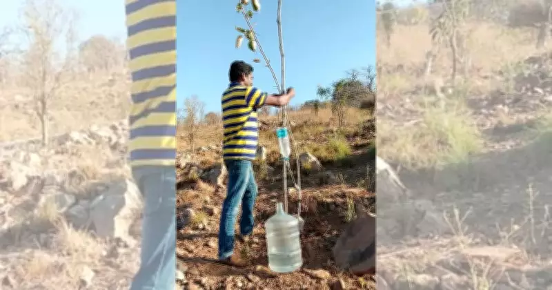 The Green Guardian of Karnataka's Karighatta Hill