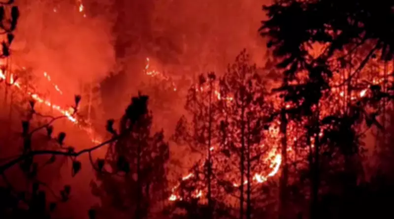 Third Forest Fire Death in Uttarakhand as Woman Succumbs to Burns