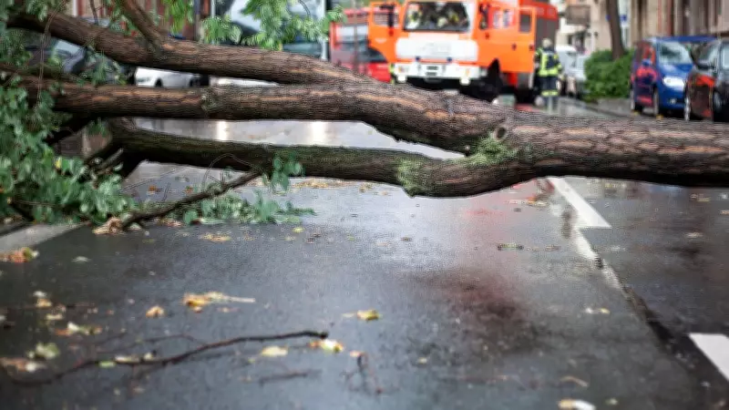 Thunderstorms Cause Bengaluru to Lose 949 Trees in a Month
