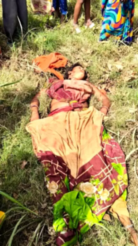 Tiger Kills Woman in Katarniaghat Sanctuary; Dispute Over Attack Location
