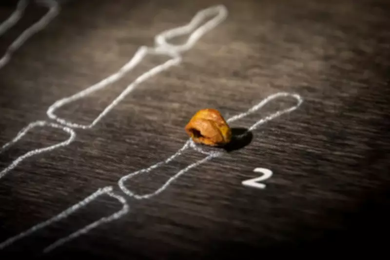 Tiny Finger Bone Reveals New Human Species: Denisovans
